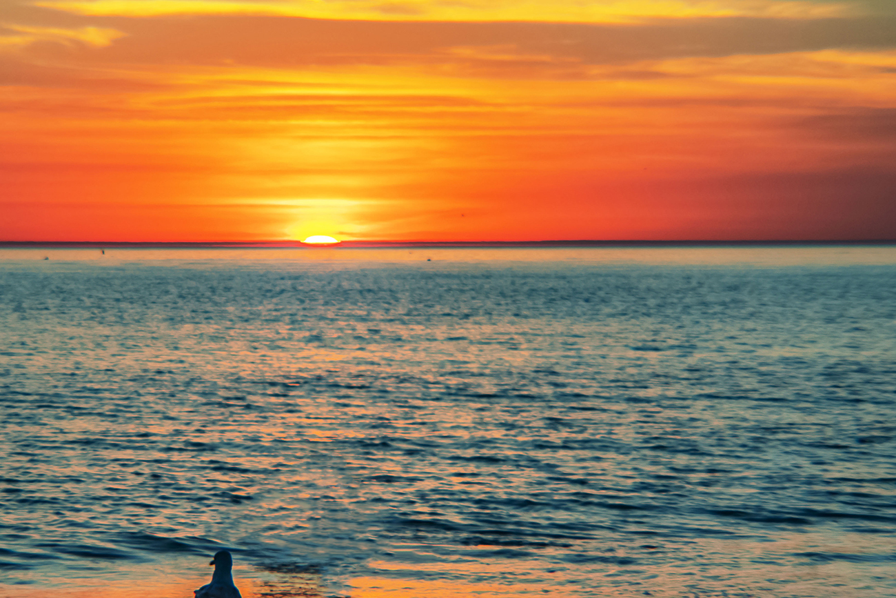 Enjoy Florida's beautiful beach sunsets nearby